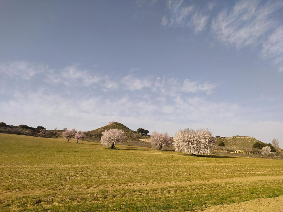 Casa Rural La Galana Albacete Chinchilla de Montearagon Bagian luar foto